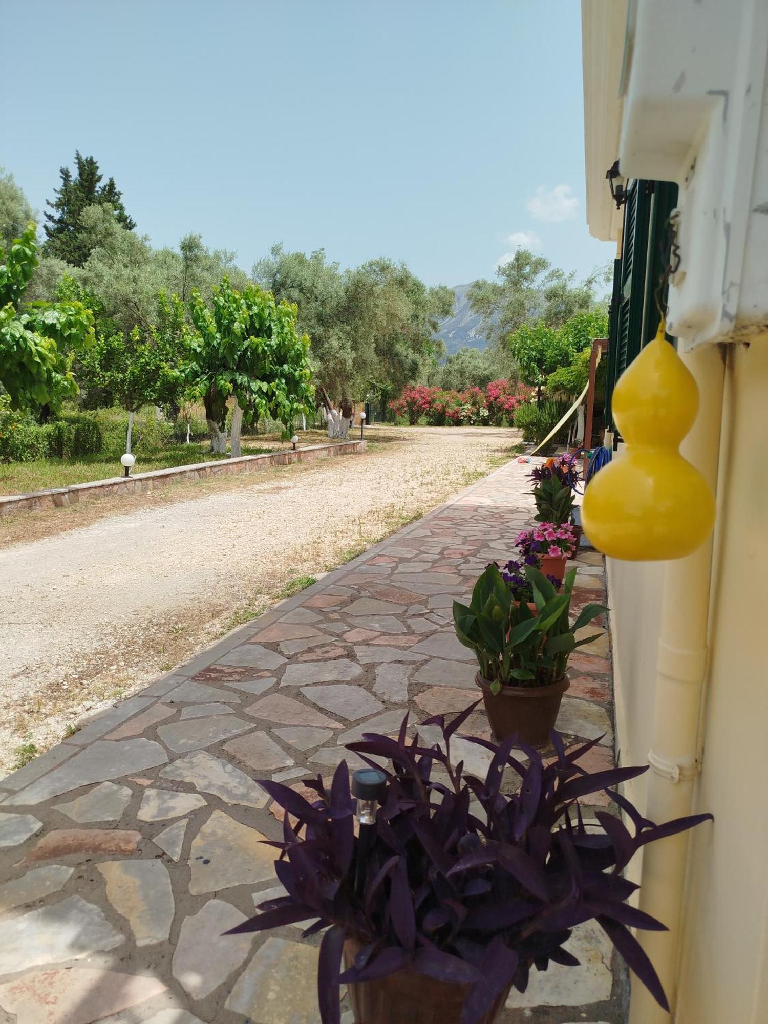 Riverside Αpartments Vasiliki  Luaran gambar